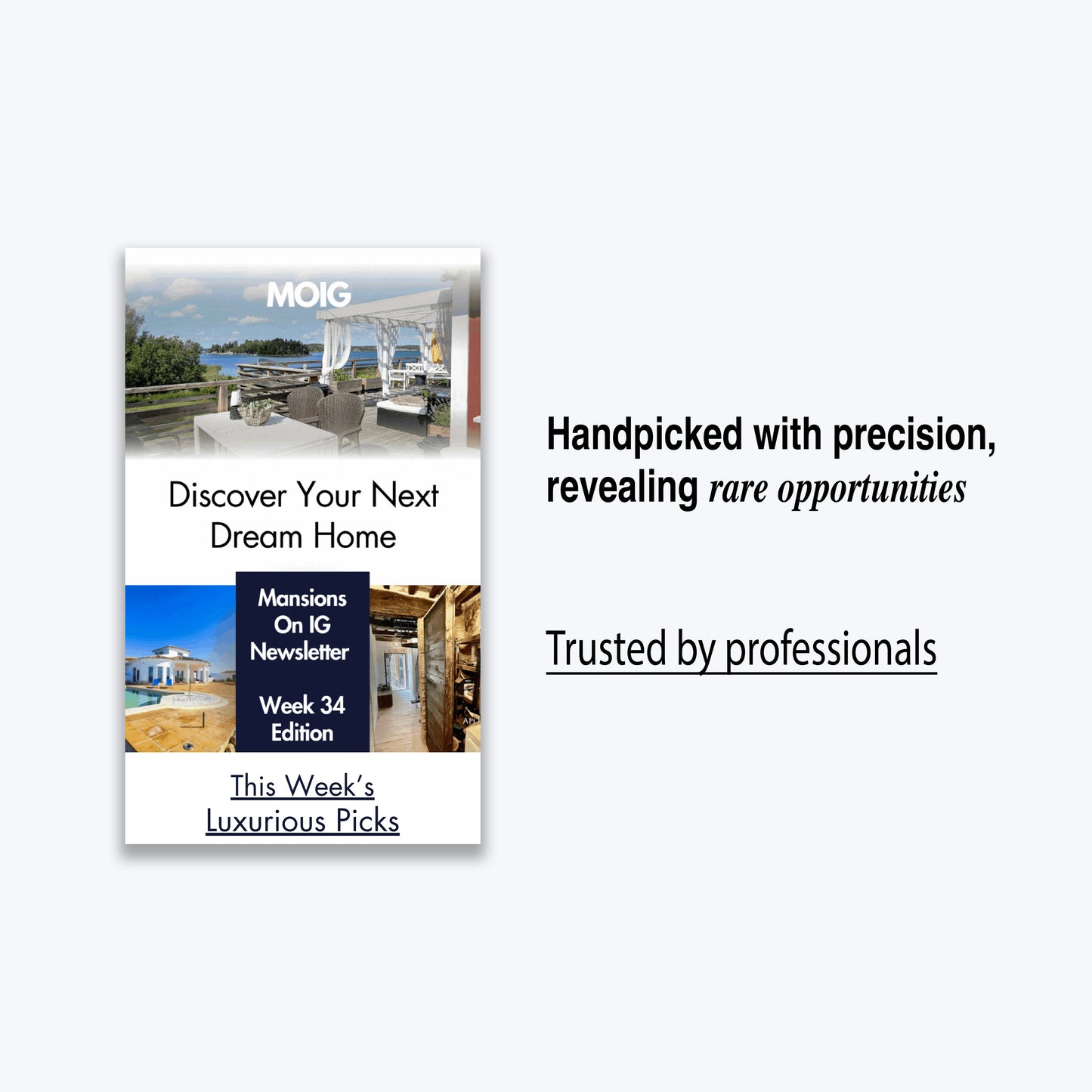 Budget-Friendly Listings - Newsletter